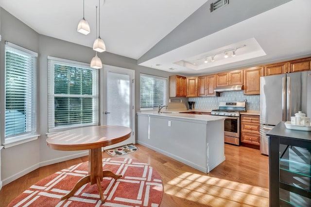 kitchen with light hardwood / wood-style flooring, appliances with stainless steel finishes, hanging light fixtures, a raised ceiling, and kitchen peninsula