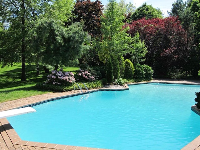 view of pool with a yard and a diving board