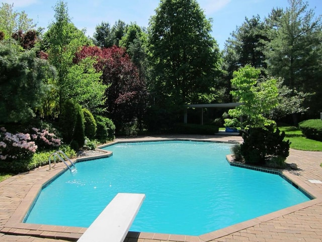 view of pool featuring a diving board