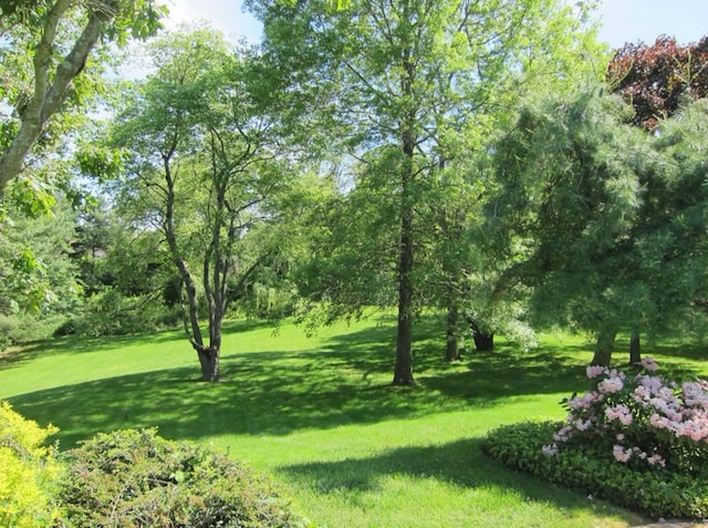 view of community with a lawn