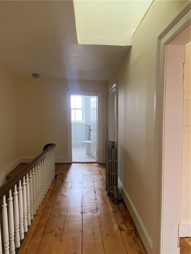 hallway with radiator and light hardwood / wood-style floors