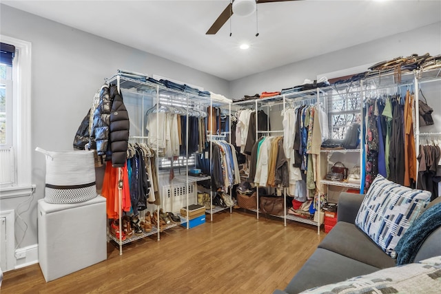 walk in closet featuring ceiling fan, wood-type flooring, and radiator heating unit