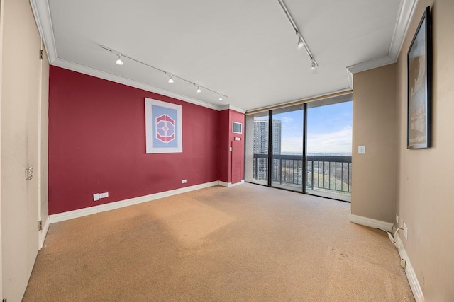 empty room featuring crown molding, floor to ceiling windows, light colored carpet, and track lighting