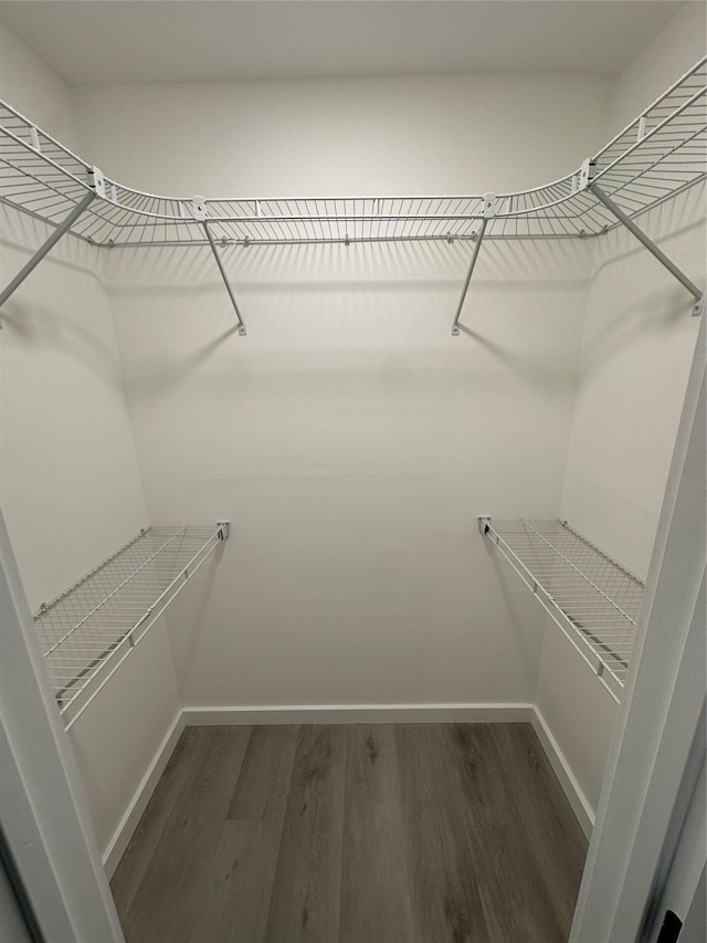 spacious closet featuring dark hardwood / wood-style floors