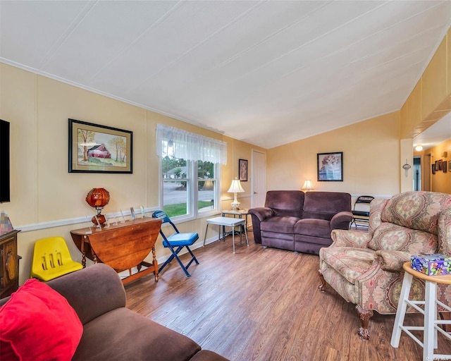 living room featuring vaulted ceiling and wood-type flooring