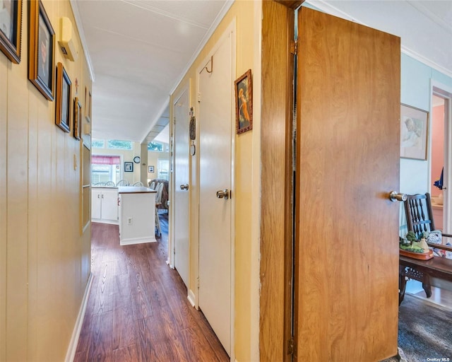 corridor featuring dark hardwood / wood-style floors