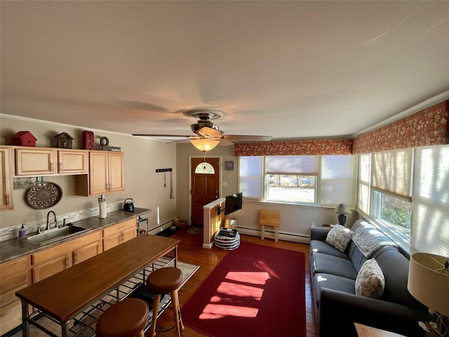 living room featuring ceiling fan, a baseboard radiator, dark hardwood / wood-style floors, and sink