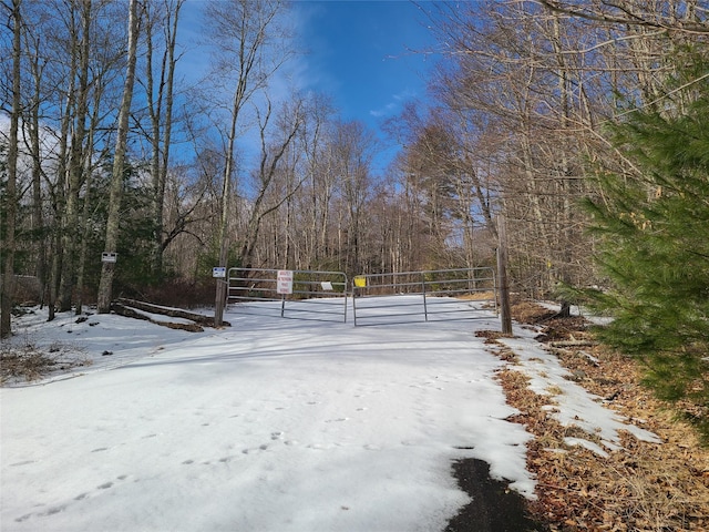 Listing photo 3 for 118 Hilltop Rd, Monticello NY 12701