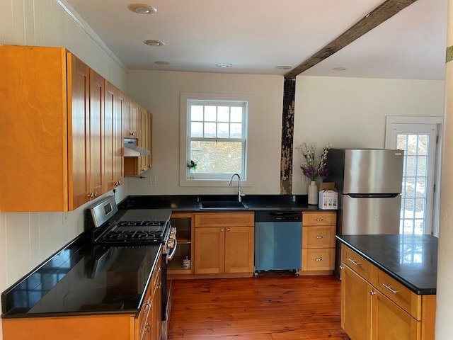 kitchen with a healthy amount of sunlight, stainless steel appliances, sink, and light hardwood / wood-style flooring