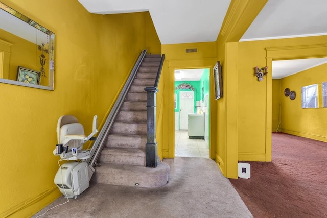 stairs featuring carpet floors