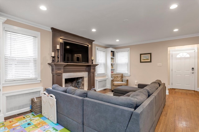 living room with light hardwood / wood-style floors, ornamental molding, and a large fireplace