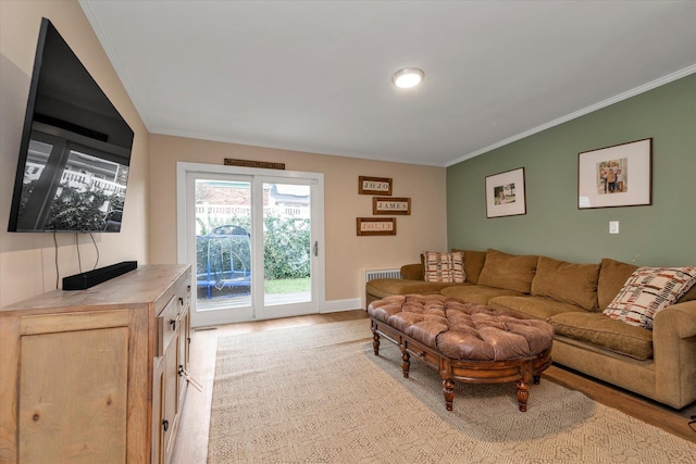 living room featuring crown molding and light hardwood / wood-style flooring