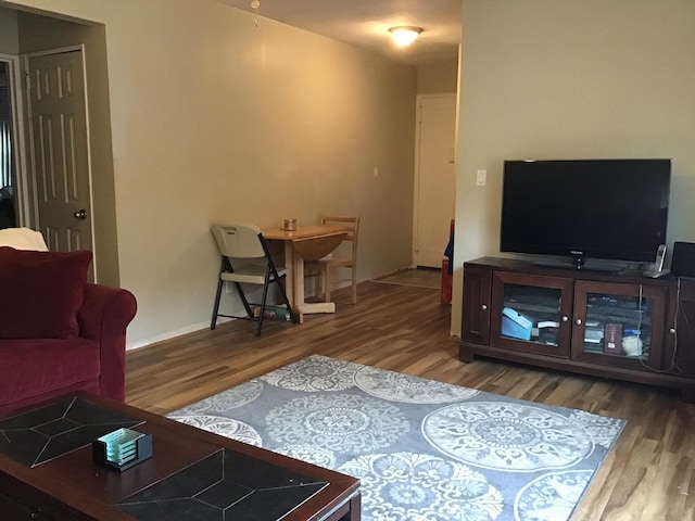 living room with wood-type flooring