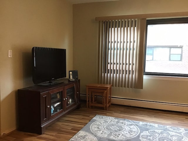 living room featuring wood-type flooring