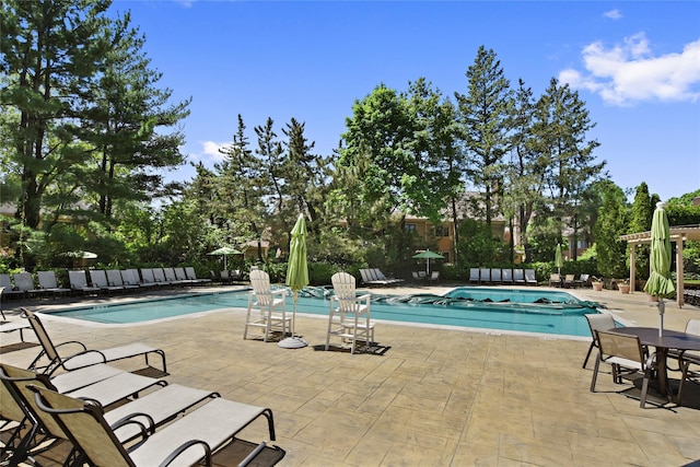 view of pool featuring a patio