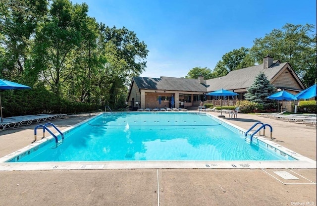 view of swimming pool with a patio area