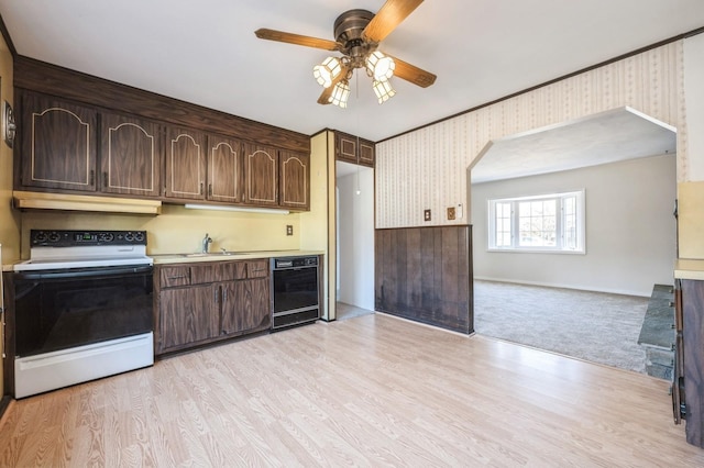 kitchen featuring dark brown cabinetry, dishwasher, light hardwood / wood-style flooring, and range with electric stovetop