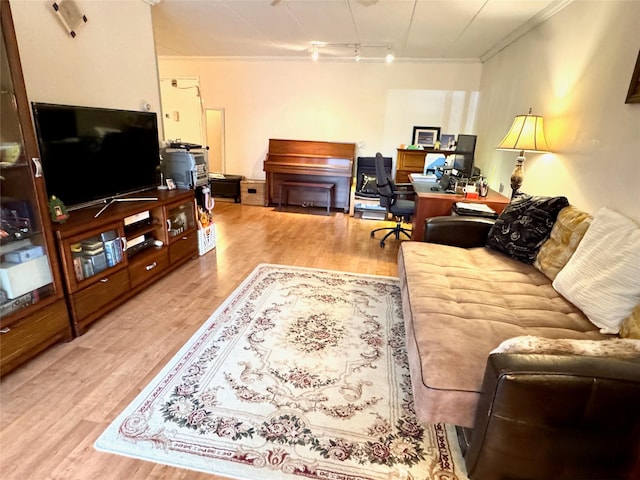 living room with crown molding, hardwood / wood-style flooring, and rail lighting