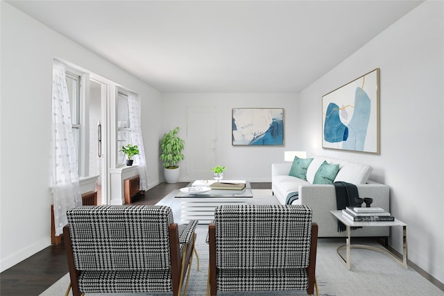 living room featuring dark wood-type flooring