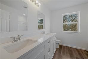 bathroom featuring hardwood / wood-style flooring, vanity, toilet, and a wealth of natural light