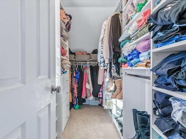 spacious closet with carpet floors