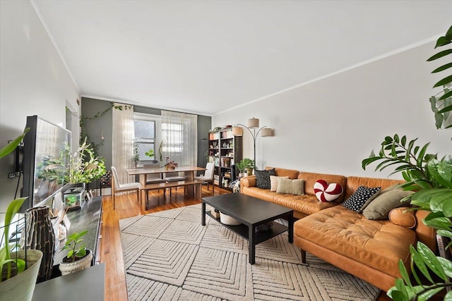 living room with crown molding and light hardwood / wood-style floors