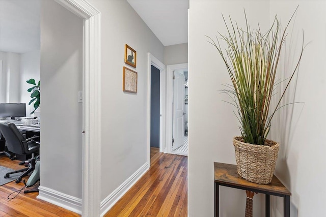 hallway with wood-type flooring