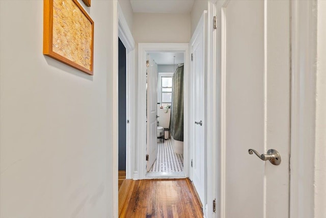 hall featuring wood-type flooring