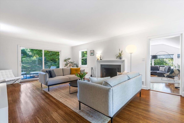 living area with a healthy amount of sunlight, wood finished floors, and a fireplace