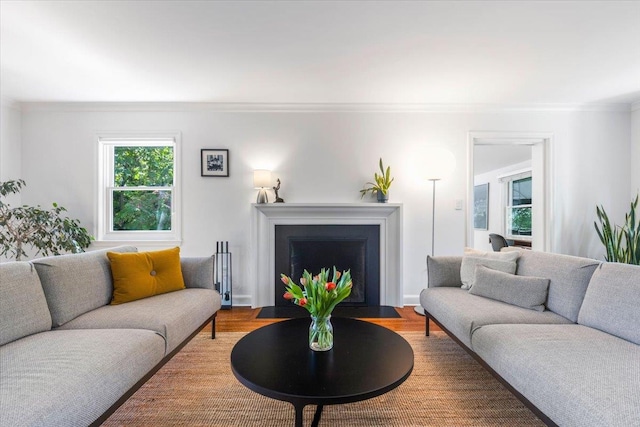 living room with a fireplace with flush hearth, wood finished floors, and crown molding