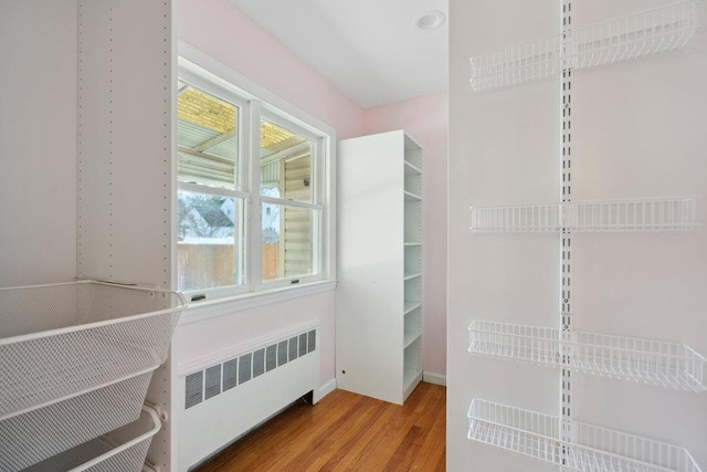 walk in closet with radiator and hardwood / wood-style floors