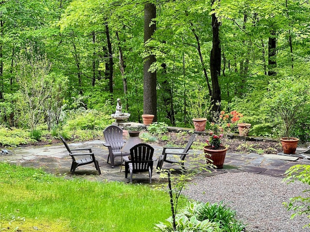 326 Pratt Hill Rd, Austerlitz, NY 12017 - view of yard featuring a patio area