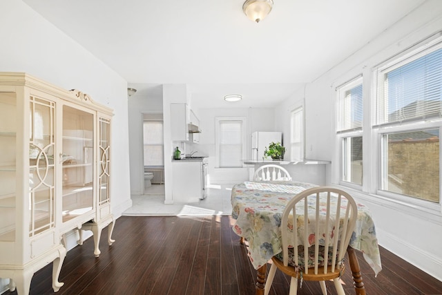 dining room with radiator heating unit and light wood-type flooring