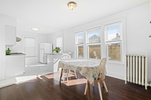 dining area with radiator heating unit and dark hardwood / wood-style floors