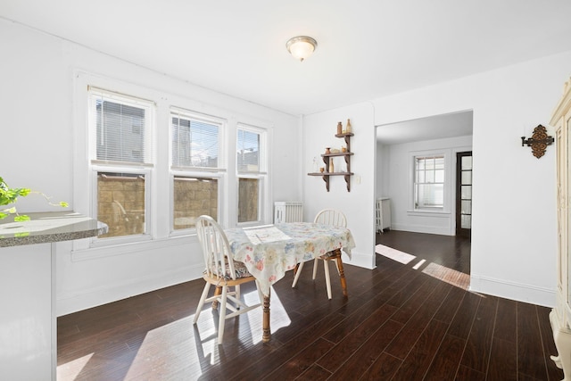 dining room with dark wood-type flooring and radiator