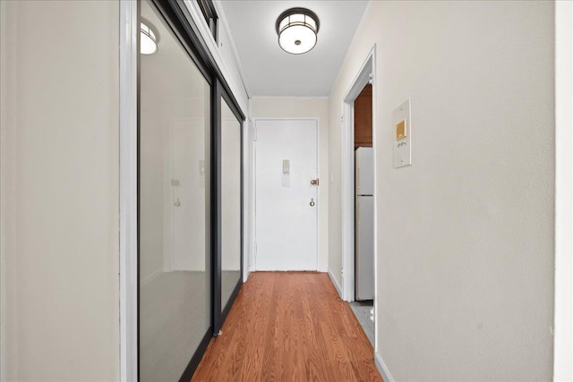 corridor featuring light hardwood / wood-style flooring