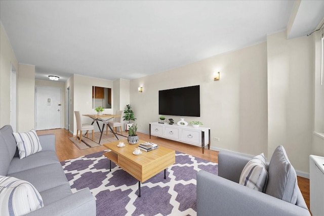 living room with light hardwood / wood-style floors