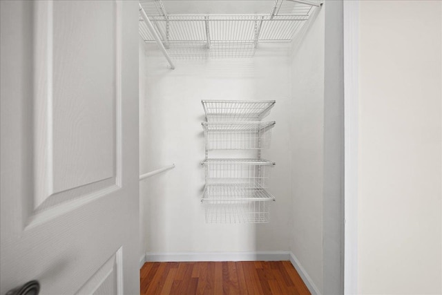 walk in closet featuring hardwood / wood-style flooring