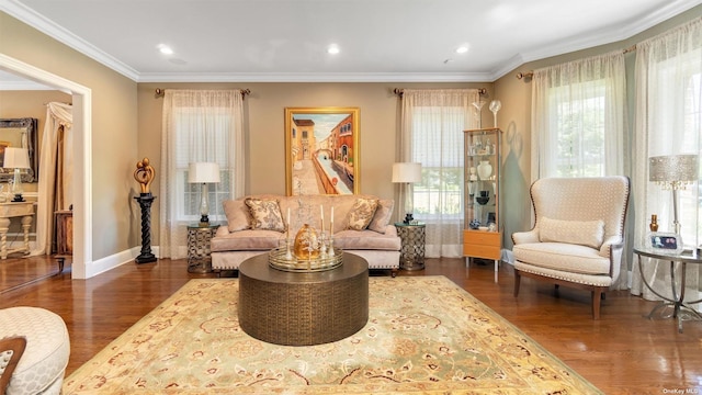 sitting room with crown molding and dark hardwood / wood-style flooring