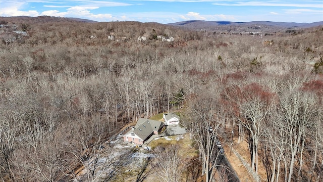 drone / aerial view with a mountain view