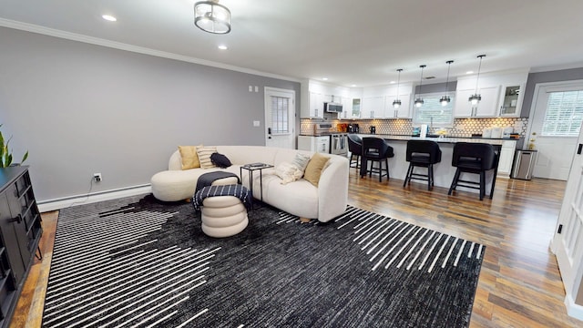 living room with crown molding, a baseboard radiator, and dark hardwood / wood-style flooring