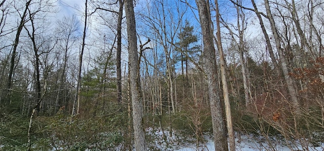 LOT24 Brook Dr, Narrowsburg NY, 12764 land for sale