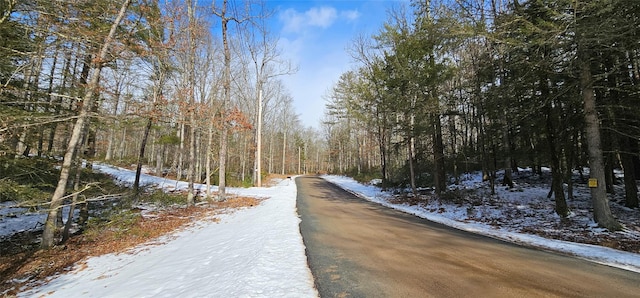 Listing photo 2 for LOT24 Brook Dr, Narrowsburg NY 12764