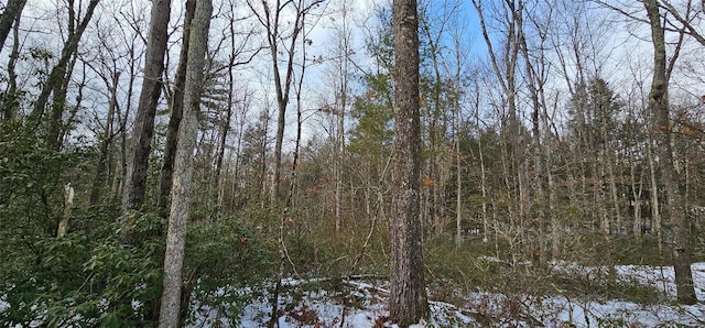 Listing photo 3 for LOT24 Brook Dr, Narrowsburg NY 12764