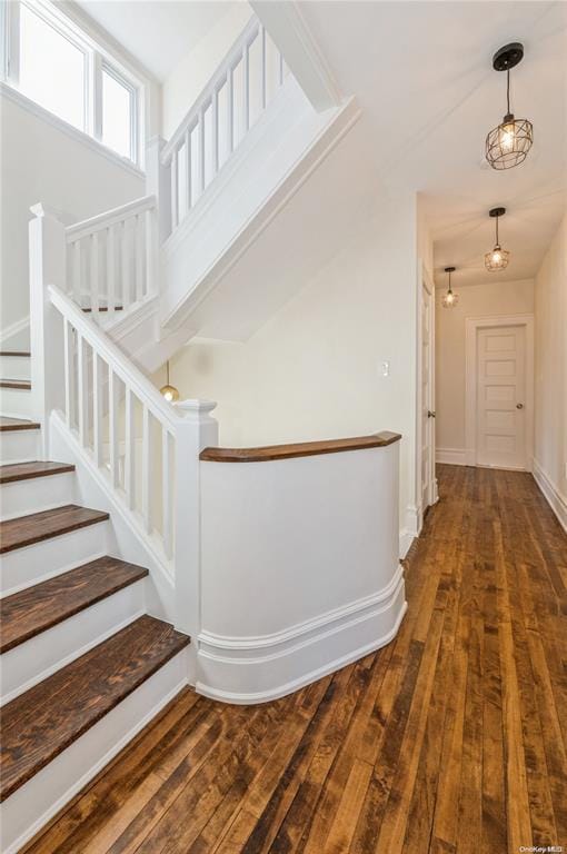 stairway with wood-type flooring