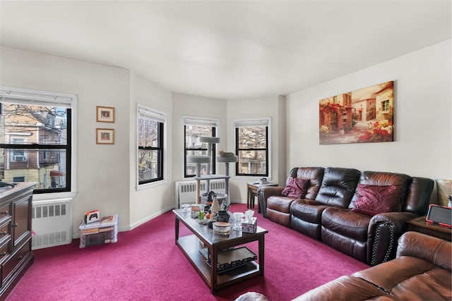 carpeted living room featuring radiator