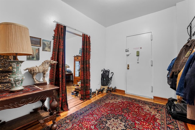 foyer entrance featuring wood-type flooring