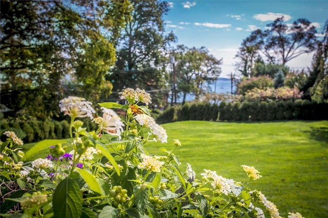 view of yard featuring a water view