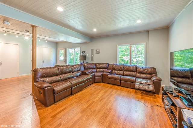 living area with ornamental molding, rail lighting, wood ceiling, and light wood-style floors