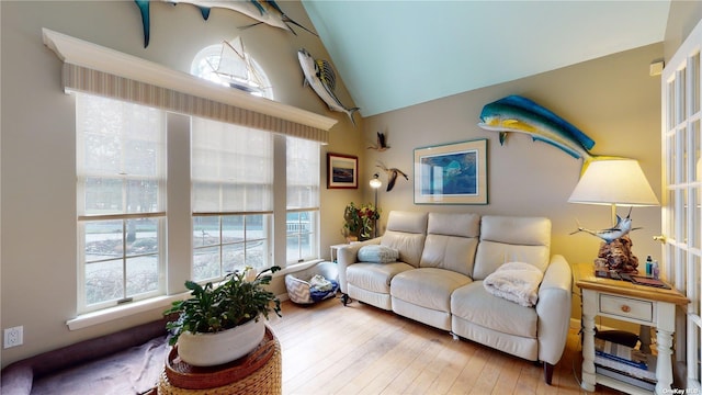 living room featuring hardwood / wood-style flooring and lofted ceiling